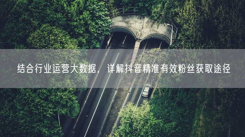 行业大数据揭秘：抖音精准粉丝获取途径与优化