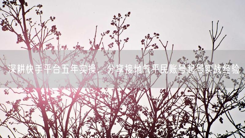 深耕快手平台五年实操，分享接地气平民账号起号实战经验