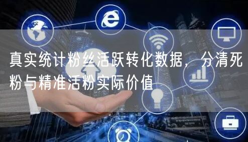 真实统计粉丝活跃转化数据，分清死粉与精准活粉实际价值
