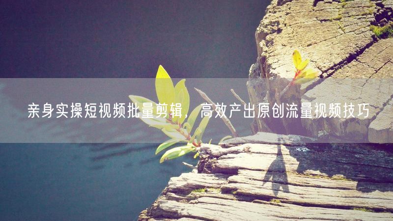 亲身实操短视频批量剪辑，高效产出原创流量视频技巧