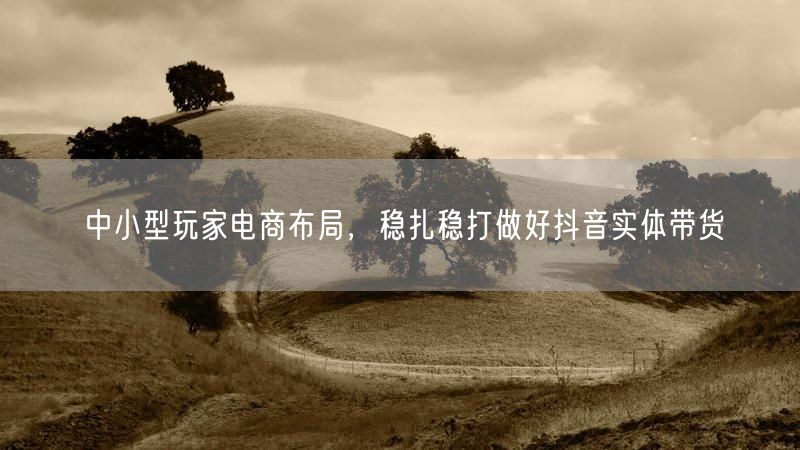 中小型玩家电商布局，稳扎稳打做好抖音实体带货
