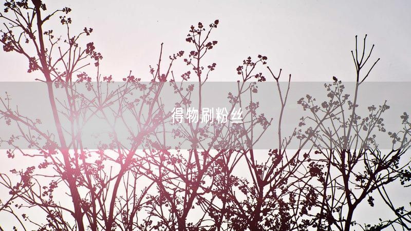 得物刷粉丝