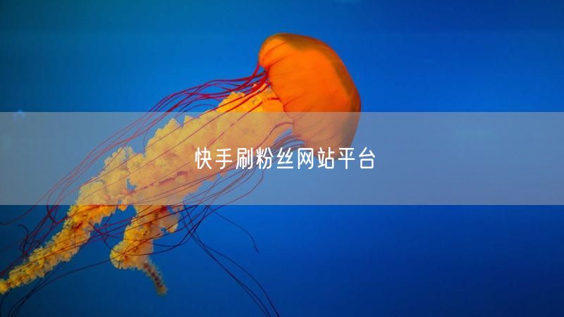 快手刷粉丝网站平台