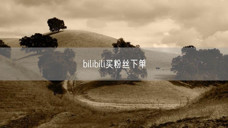 bilibili买粉丝下单