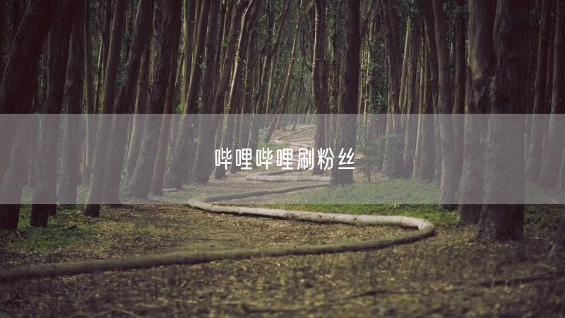 哔哩哔哩刷粉丝