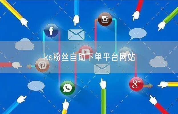 ks粉丝自助下单平台网站