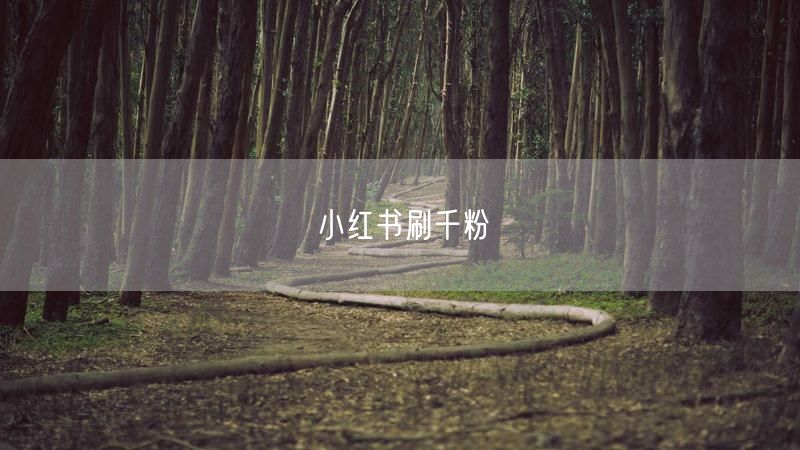 小红书刷千粉