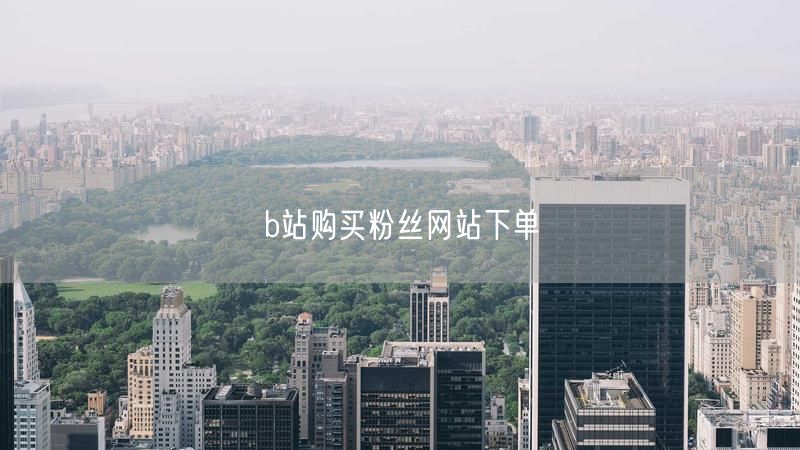 b站购买粉丝网站下单