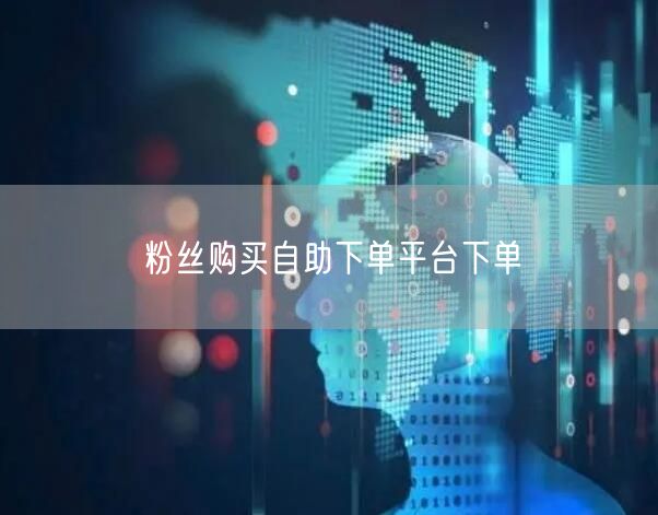粉丝购买自助下单平台下单
