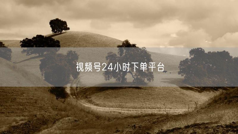 视频号24小时下单平台