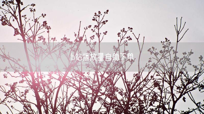 b站播放量自助下单