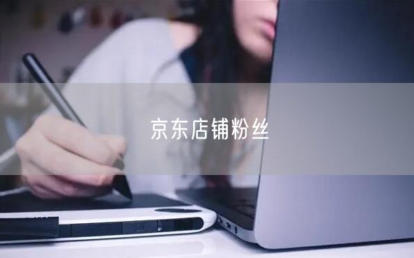 京东店铺粉丝