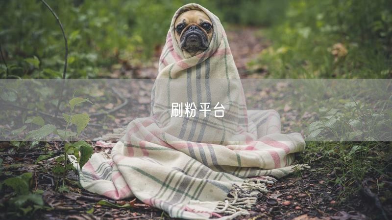 刷粉平台