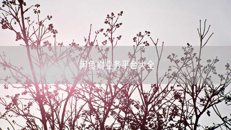 闲鱼刷业务平台大全