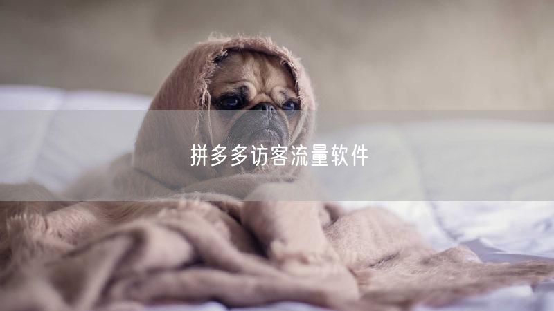 拼多多访客流量软件