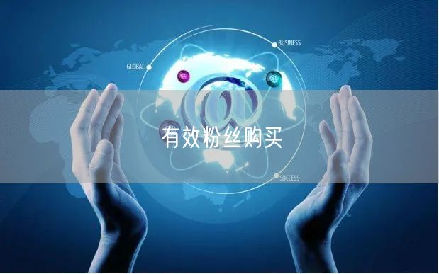 有效粉丝购买