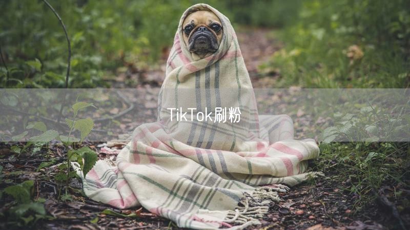 TikTok刷粉