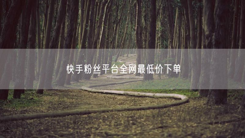 快手粉丝平台全网最低价下单