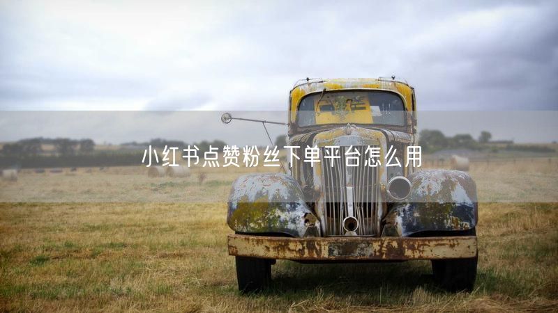 小红书点赞粉丝下单平台怎么用
