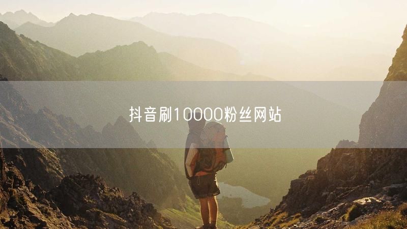 抖音刷10000粉丝网站