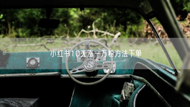 小红书10天涨一万粉方法下单