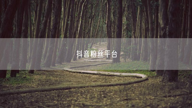 抖音粉丝平台