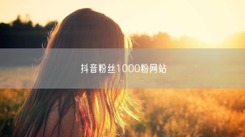 抖音粉丝1000粉网站