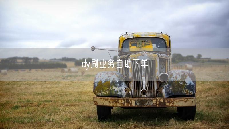 dy刷业务自助下单