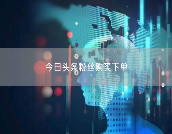 今日头条粉丝购买下单