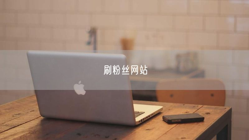 刷粉丝网站
