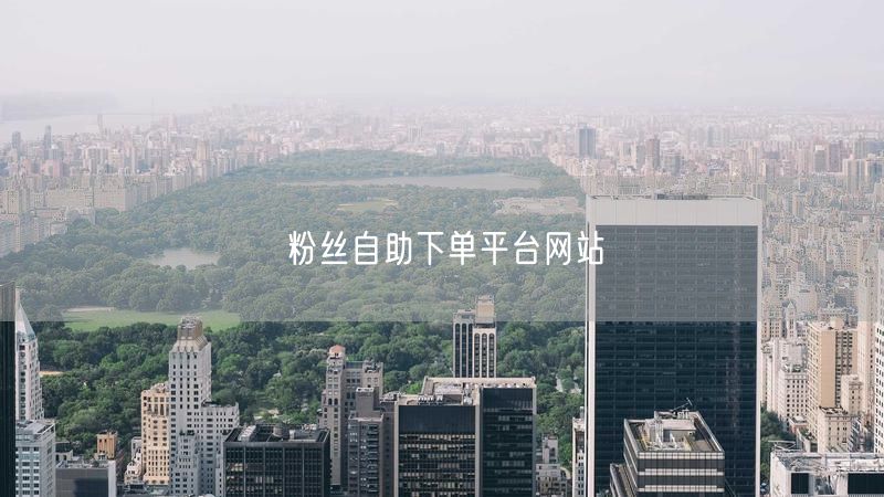 粉丝自助下单平台网站