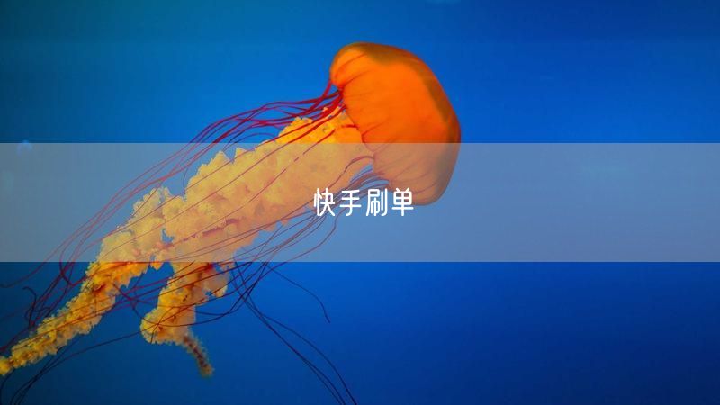 快手刷单