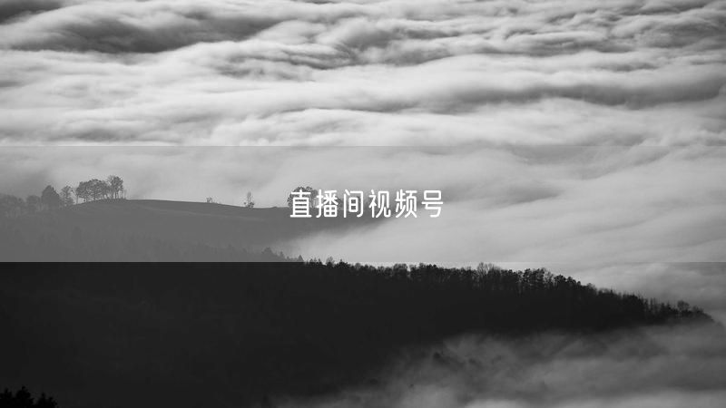 直播间视频号