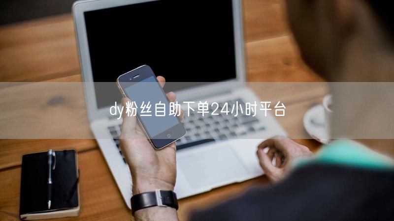 dy粉丝自助下单24小时平台