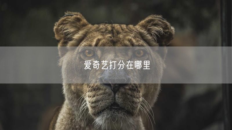 爱奇艺打分在哪里