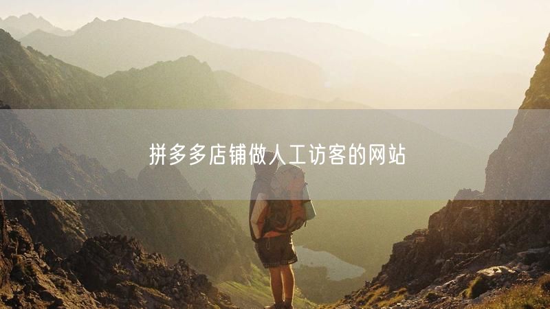 拼多多店铺做人工访客的网站