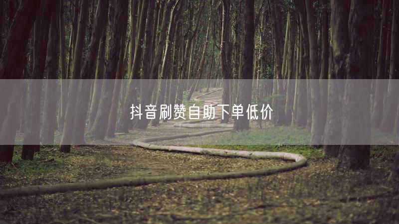 抖音刷赞自助下单低价