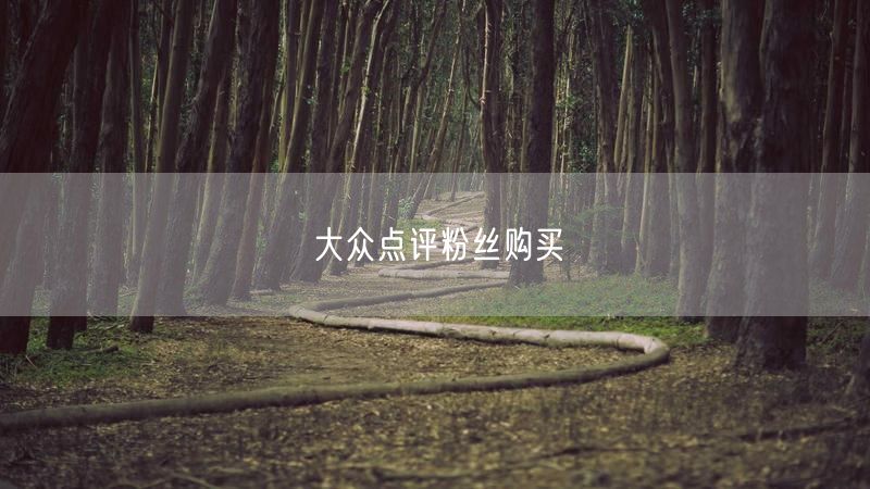 大众点评粉丝购买