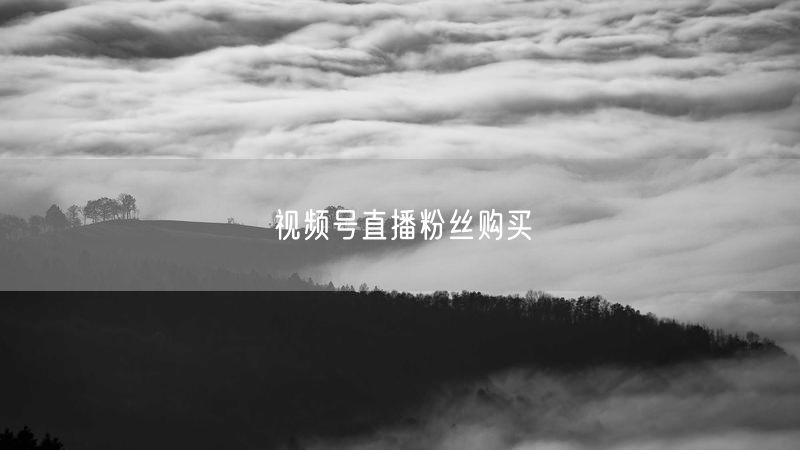 视频号直播粉丝购买