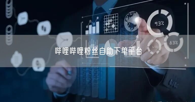 哔哩哔哩粉丝自助下单平台