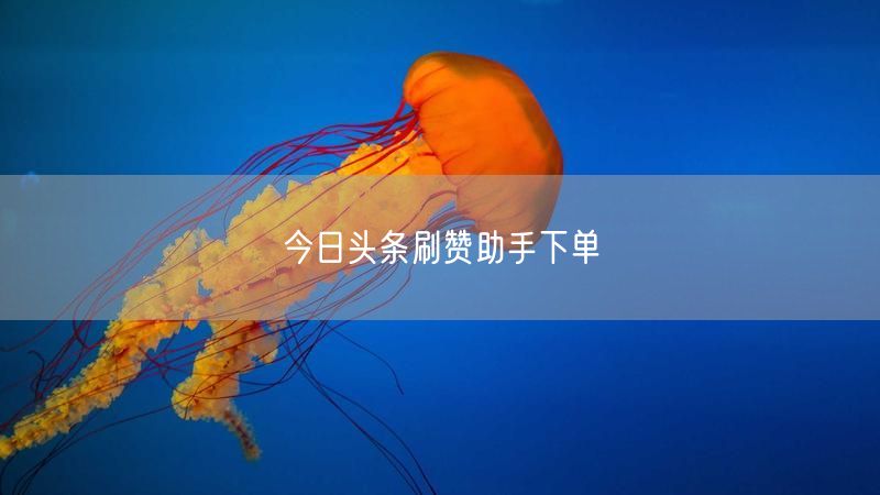 今日头条刷赞助手下单