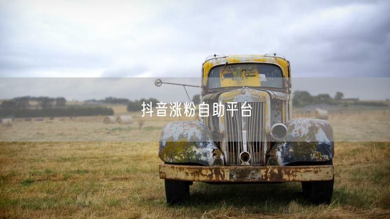 抖音涨粉自助平台