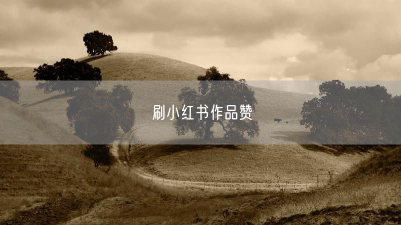 刷小红书作品赞