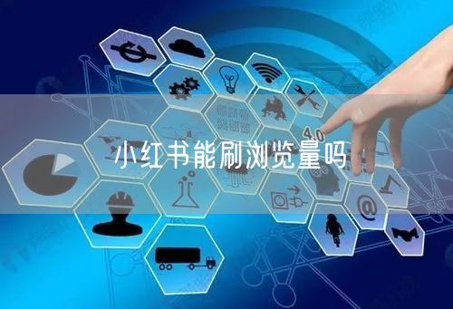 小红书能刷浏览量吗