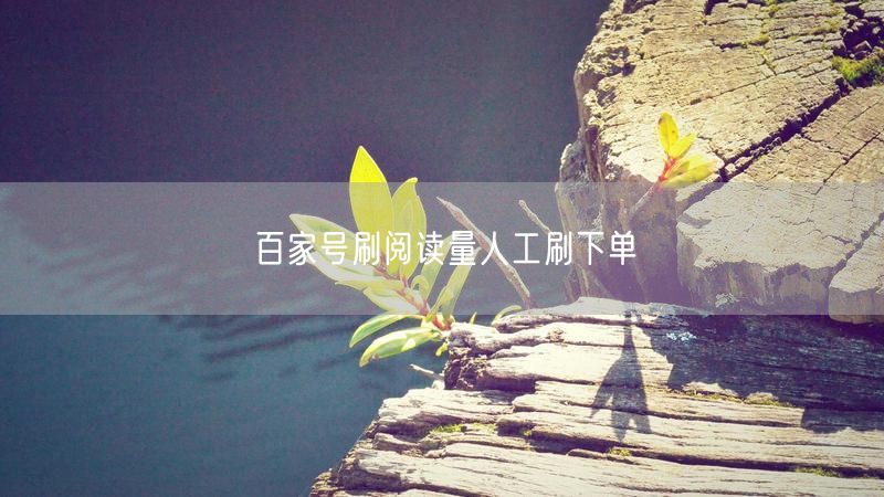 百家号刷阅读量人工刷下单