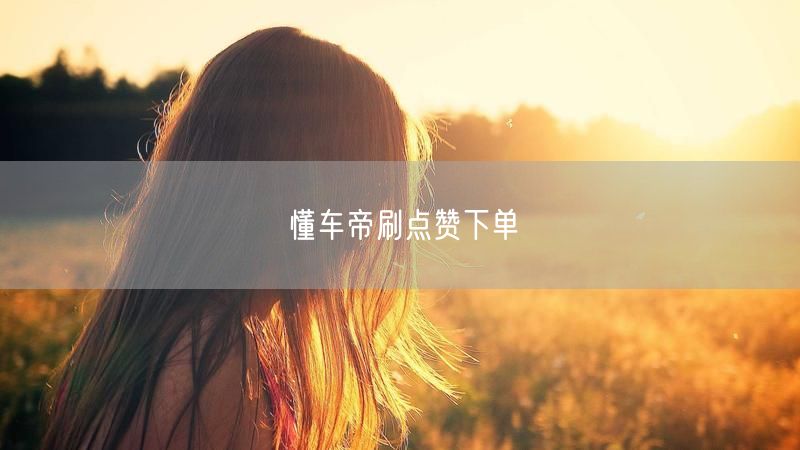 懂车帝刷点赞下单