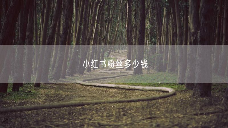 小红书粉丝多少钱