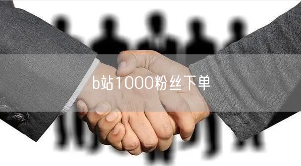 b站1000粉丝下单