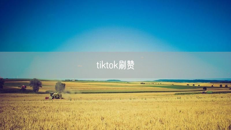 tiktok刷赞