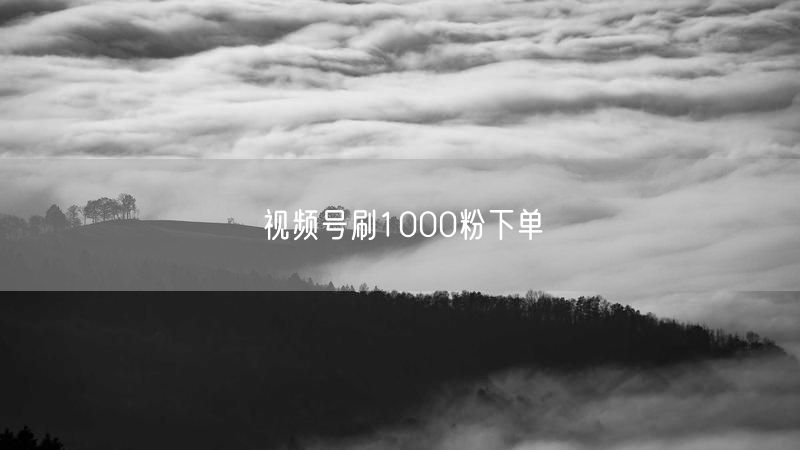 视频号刷1000粉下单